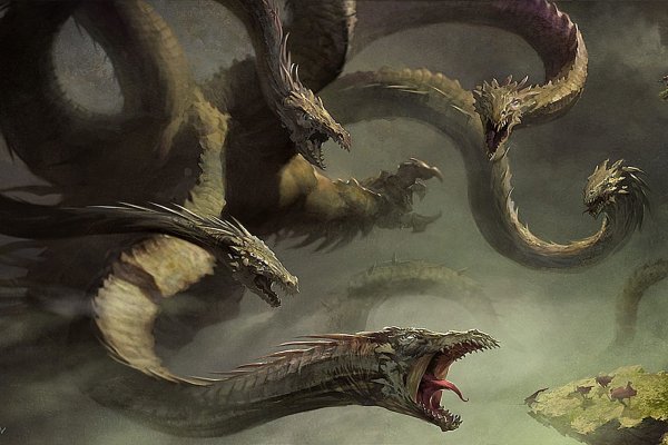 Kraken 17 at net