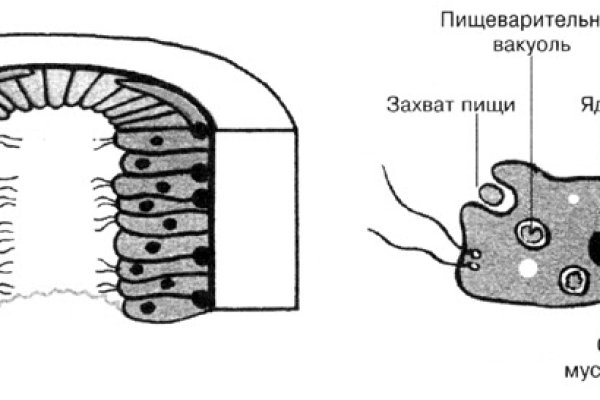 Кракен вход на сайт