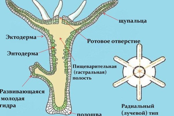 Как восстановить страницу на кракене