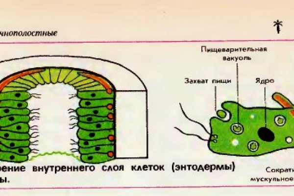 Кракен актуальная