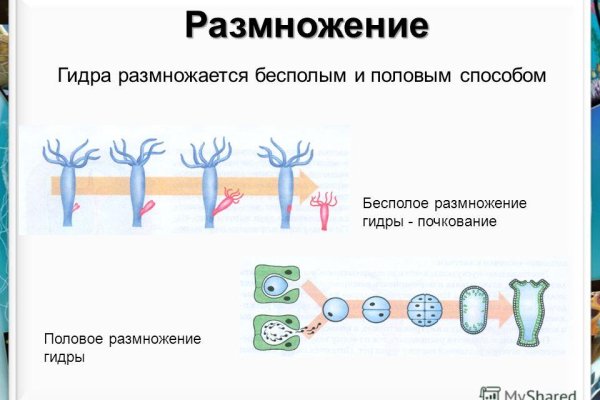 Кракен впн