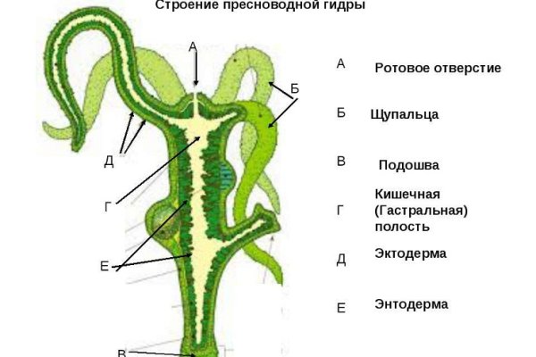 Официальная тор ссылка кракен сайта